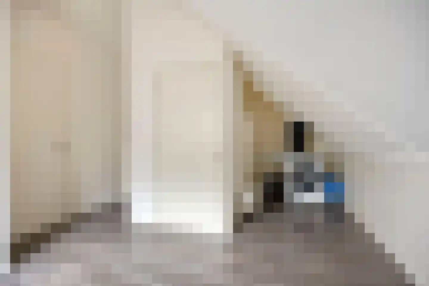 Paaldijk 93 Zwaag thumbnail 16