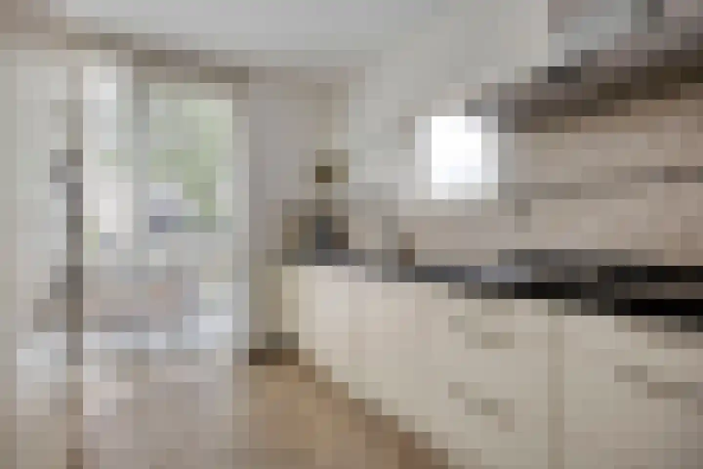 Paaldijk 93 Zwaag thumbnail 6