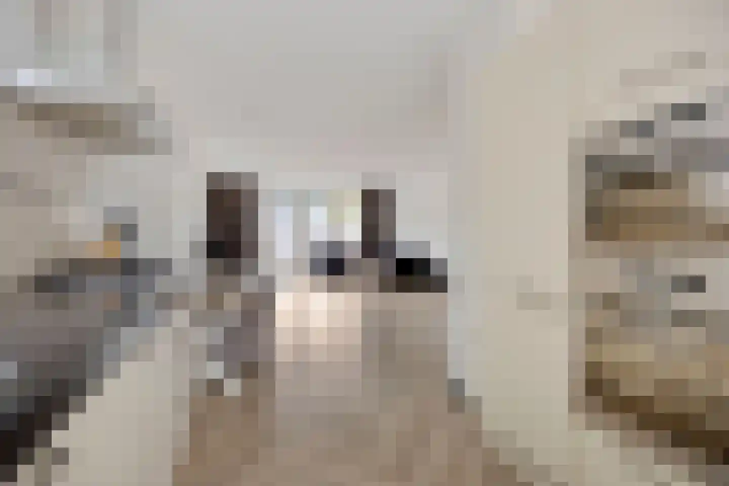 Paaldijk 93 Zwaag thumbnail 7