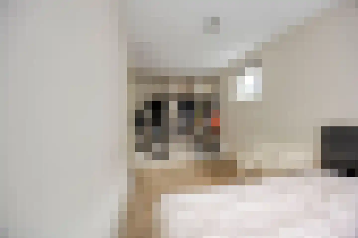 Paaldijk 93 Zwaag thumbnail 9