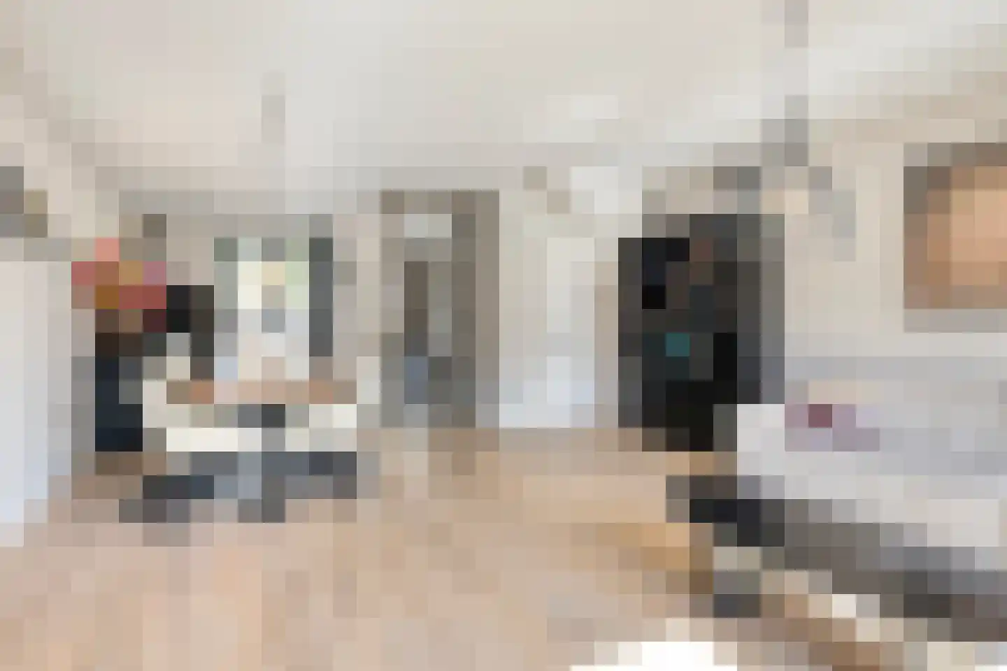 Paaldijk 96 Zwaag thumbnail 11