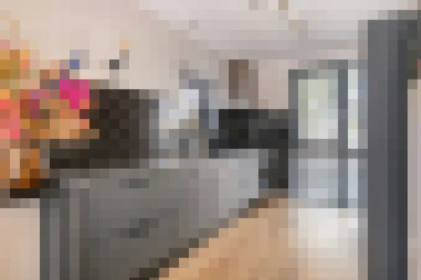 Paaldijk 96 Zwaag thumbnail 13