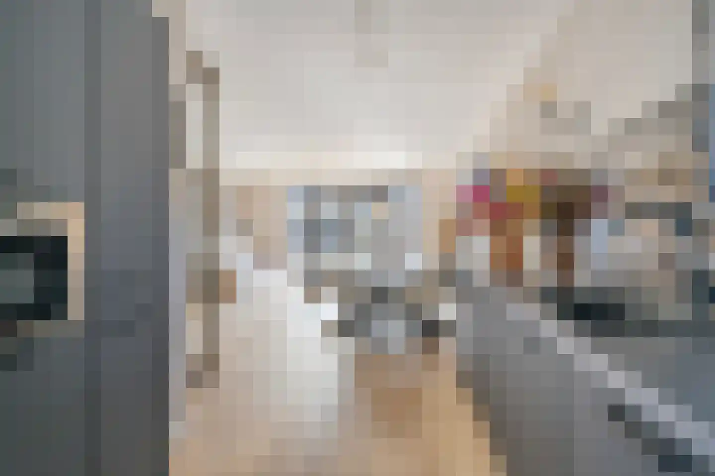 Paaldijk 96 Zwaag thumbnail 16