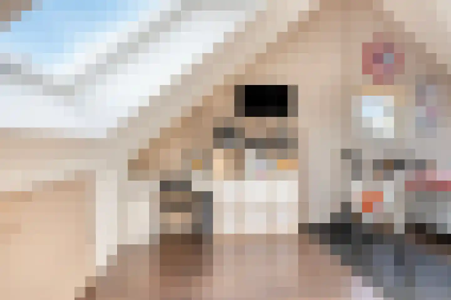 Paaldijk 96 Zwaag thumbnail 24