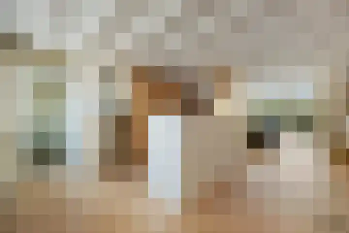 Paalgrens 20 Huissen thumbnail 10