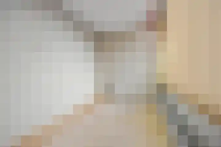 Paalgrens 20 Huissen thumbnail 11