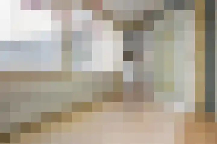 Paalgrens 20 Huissen thumbnail 12