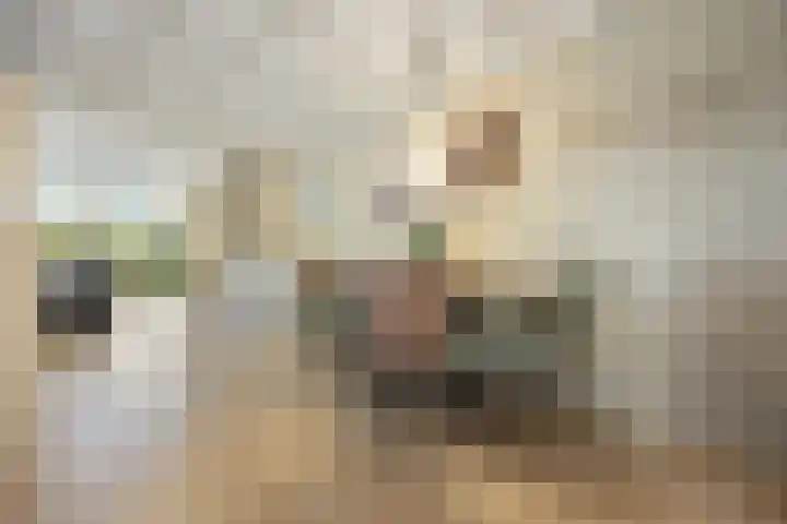Paalgrens 20 Huissen thumbnail 14