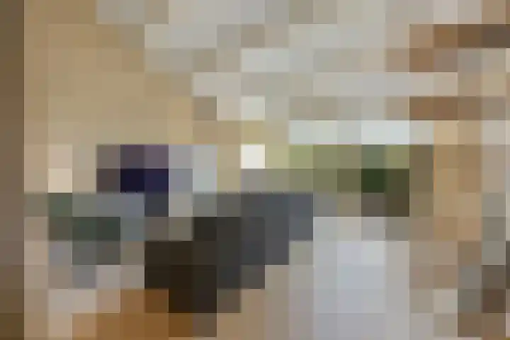 Paalgrens 20 Huissen thumbnail 17