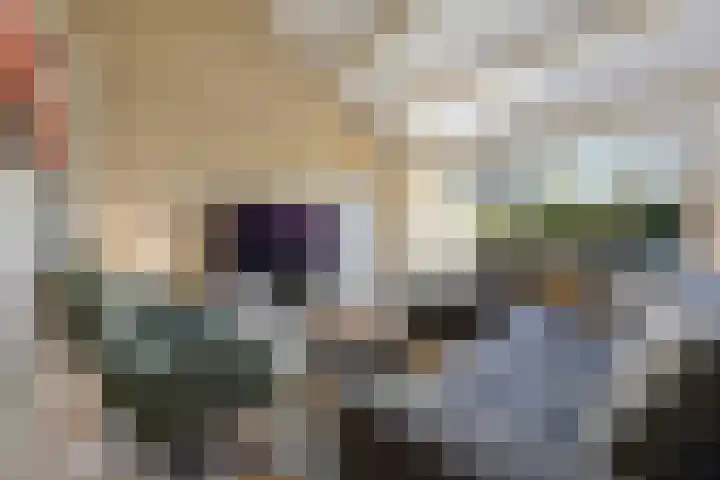 Paalgrens 20 Huissen thumbnail 18