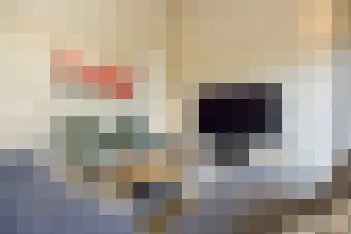 Paalgrens 20 Huissen thumbnail 20