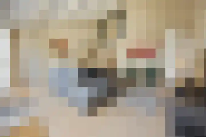 Paalgrens 20 Huissen thumbnail 21