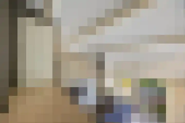 Paalgrens 20 Huissen thumbnail 22