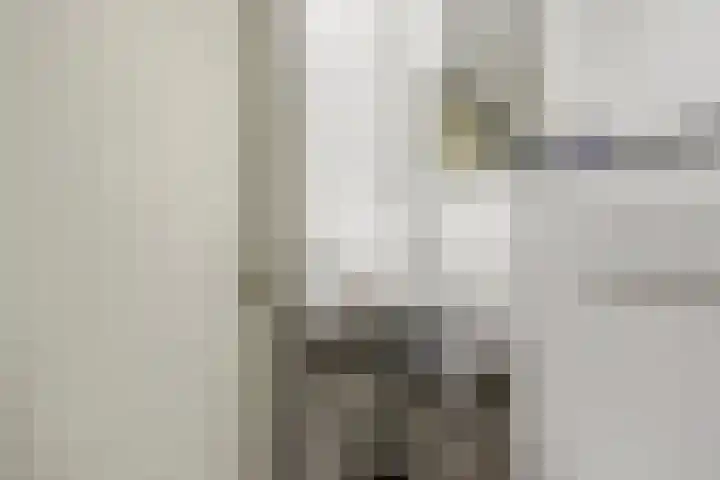 Paalgrens 20 Huissen thumbnail 25