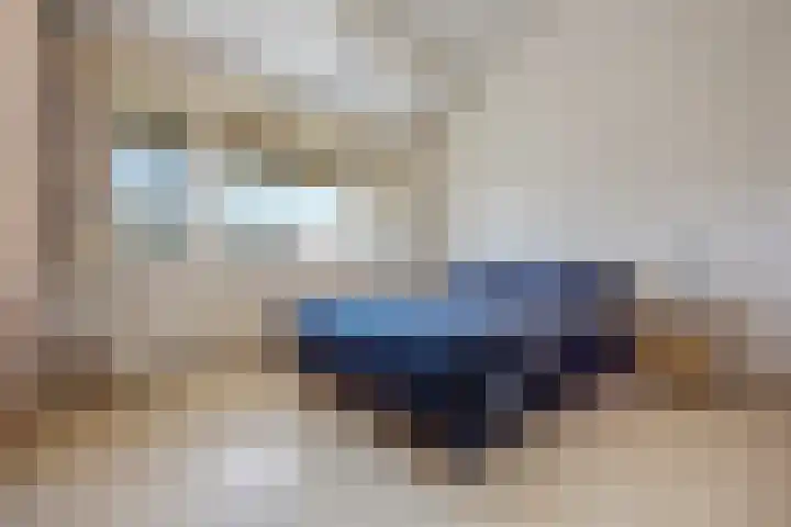 Paalgrens 20 Huissen thumbnail 26