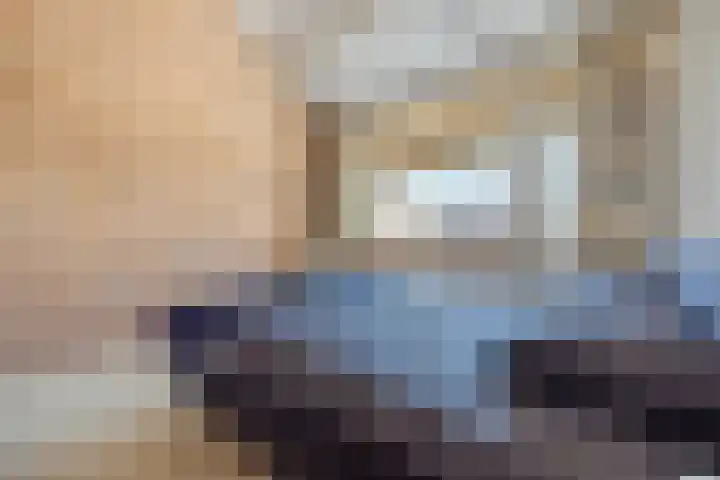 Paalgrens 20 Huissen thumbnail 28