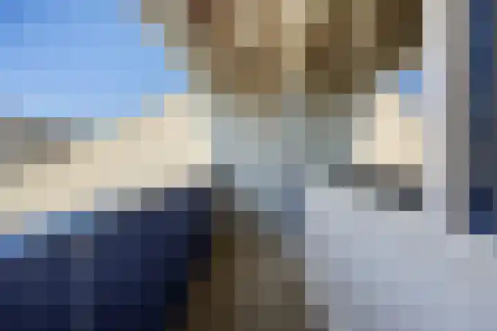 Paalgrens 20 Huissen thumbnail 29