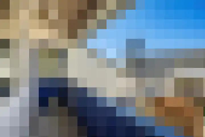 Paalgrens 20 Huissen thumbnail 30