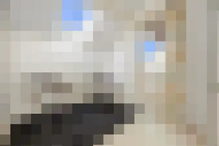 Paalgrens 20 Huissen thumbnail 31