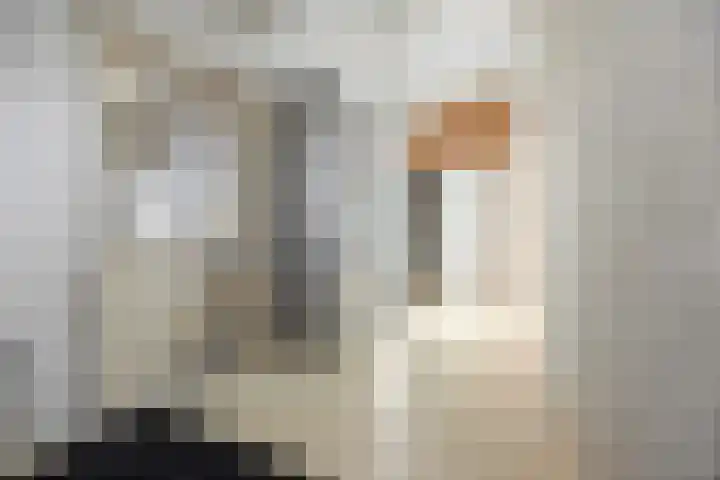 Paalgrens 20 Huissen thumbnail 32