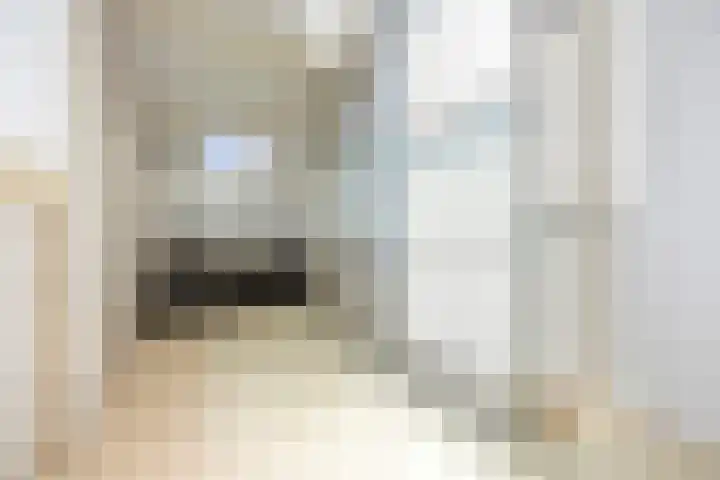 Paalgrens 20 Huissen thumbnail 33