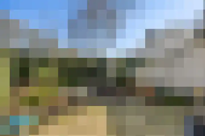 Paalgrens 20 Huissen thumbnail 35