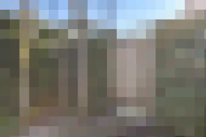 Paalgrens 20 Huissen thumbnail 36