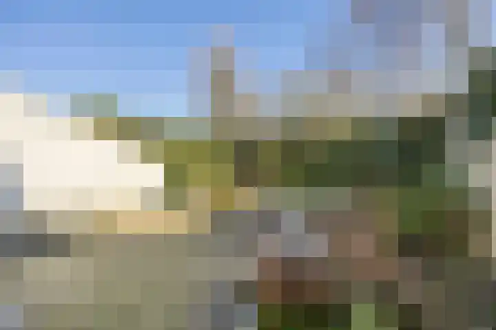 Paalgrens 20 Huissen thumbnail 37