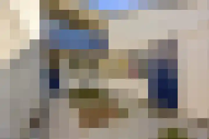 Paalgrens 20 Huissen thumbnail 38
