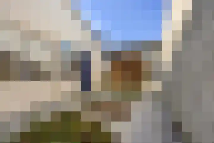 Paalgrens 20 Huissen thumbnail 39