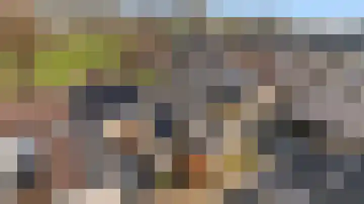 Paalgrens 20 Huissen thumbnail 4