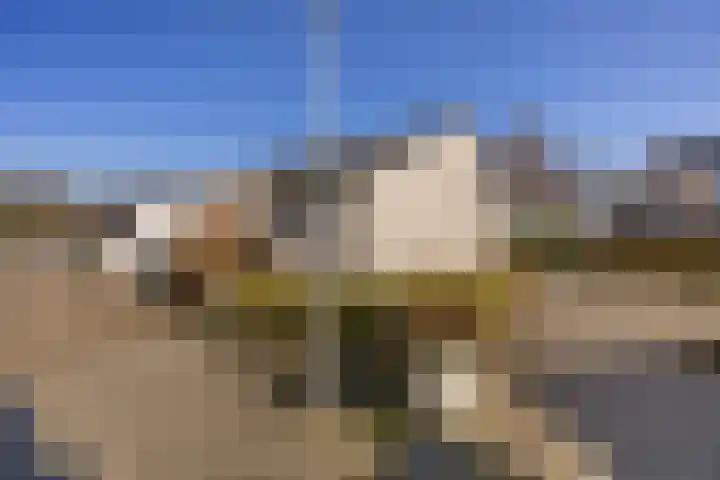Paalgrens 20 Huissen thumbnail 40