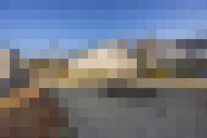 Paalgrens 20 Huissen thumbnail 41