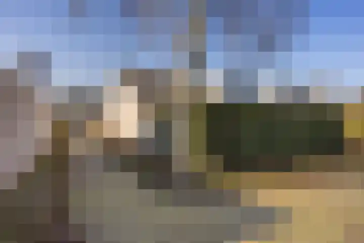 Paalgrens 20 Huissen thumbnail 42