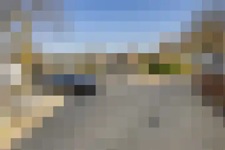 Paalgrens 20 Huissen thumbnail 43