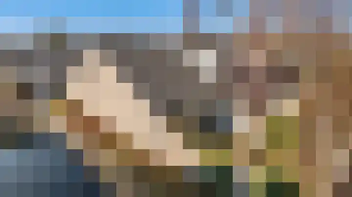 Paalgrens 20 Huissen thumbnail 45