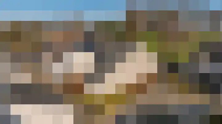 Paalgrens 20 Huissen thumbnail 46