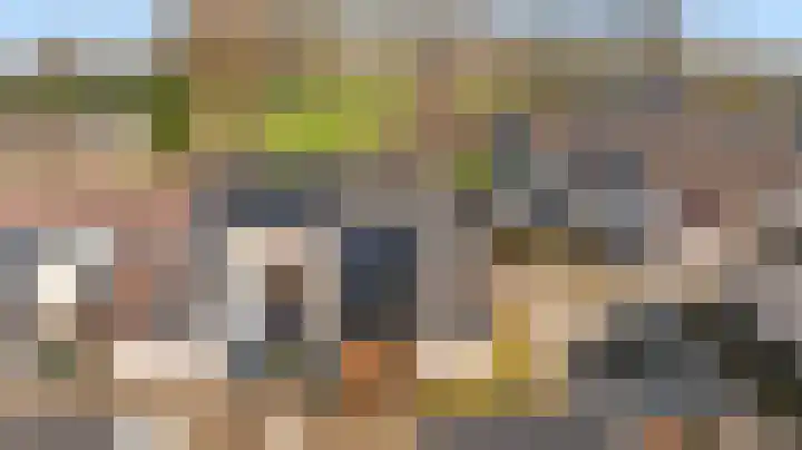 Paalgrens 20 Huissen thumbnail 47