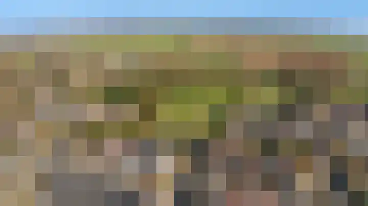 Paalgrens 20 Huissen thumbnail 48