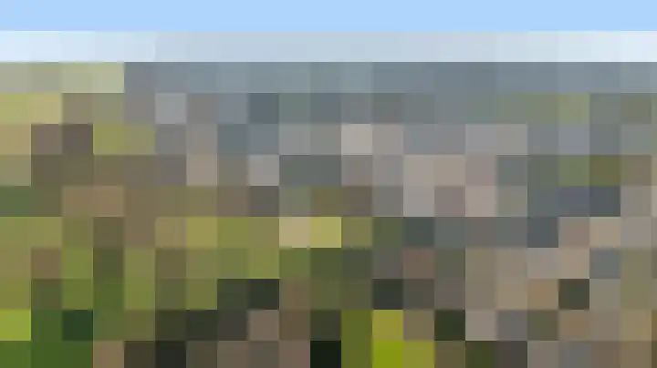Paalgrens 20 Huissen thumbnail 49