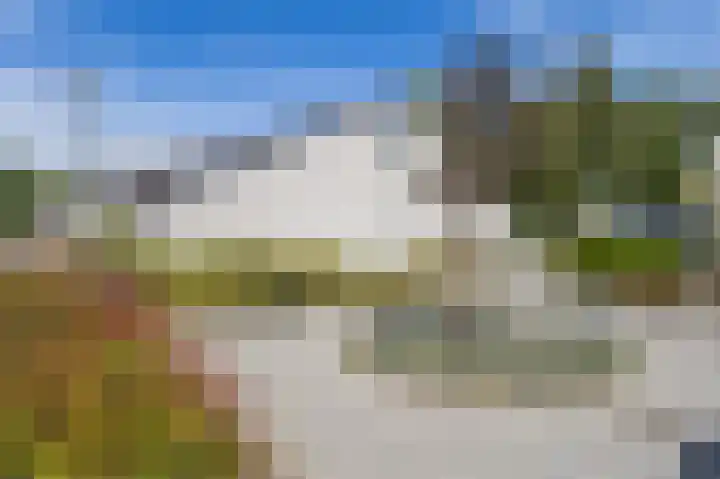 Paalgrens 20 Huissen thumbnail 50
