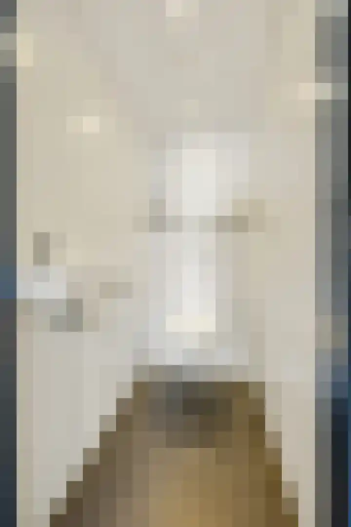 Paalgrens 20 Huissen thumbnail 6