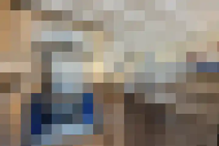 Paalgrens 20 Huissen thumbnail 7