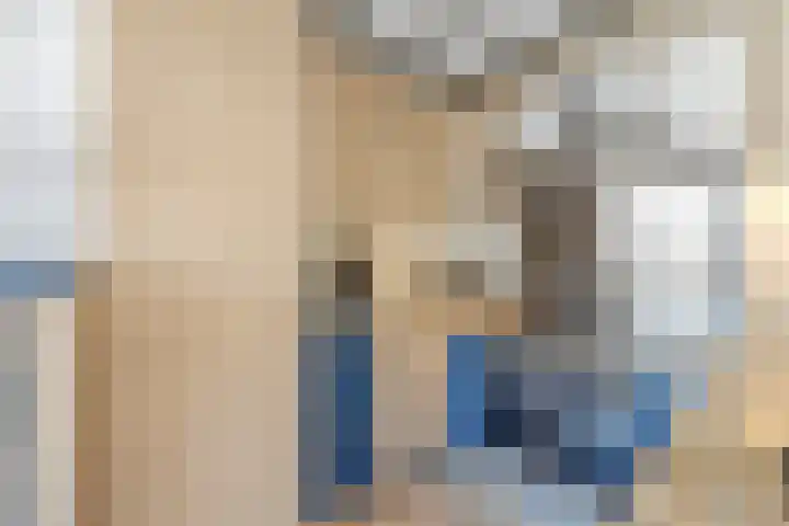 Paalgrens 20 Huissen thumbnail 8