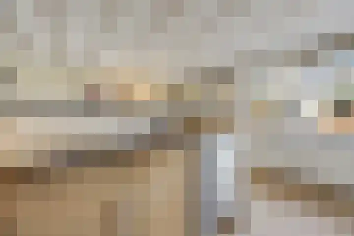 Paalgrens 20 Huissen thumbnail 9