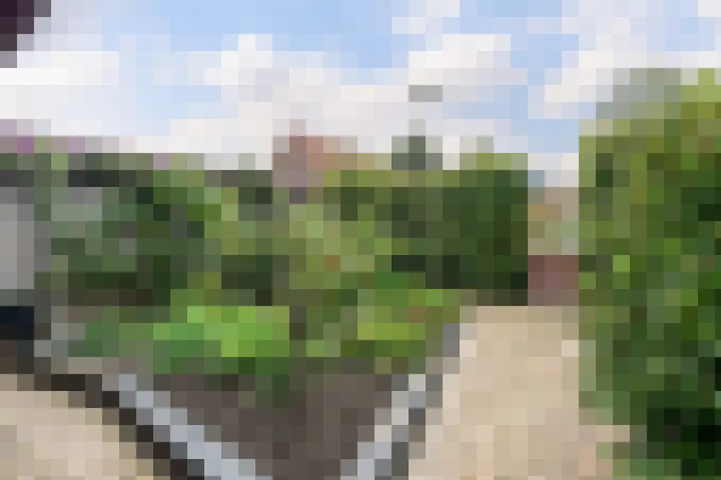 Paalhaarsstraat 14 Eibergen thumbnail 32