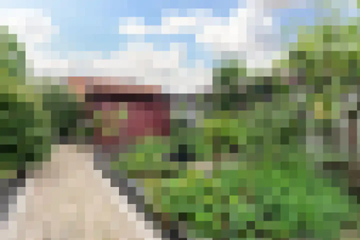 Paalhaarsstraat 14 Eibergen thumbnail 33