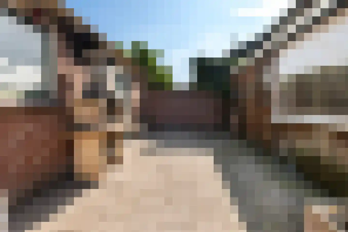 Paalhaarsstraat 21 Eibergen thumbnail 31