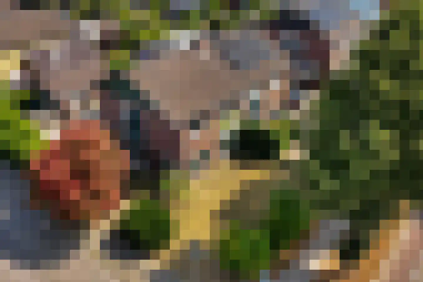 Paalhaarsstraat 21 Eibergen thumbnail 40