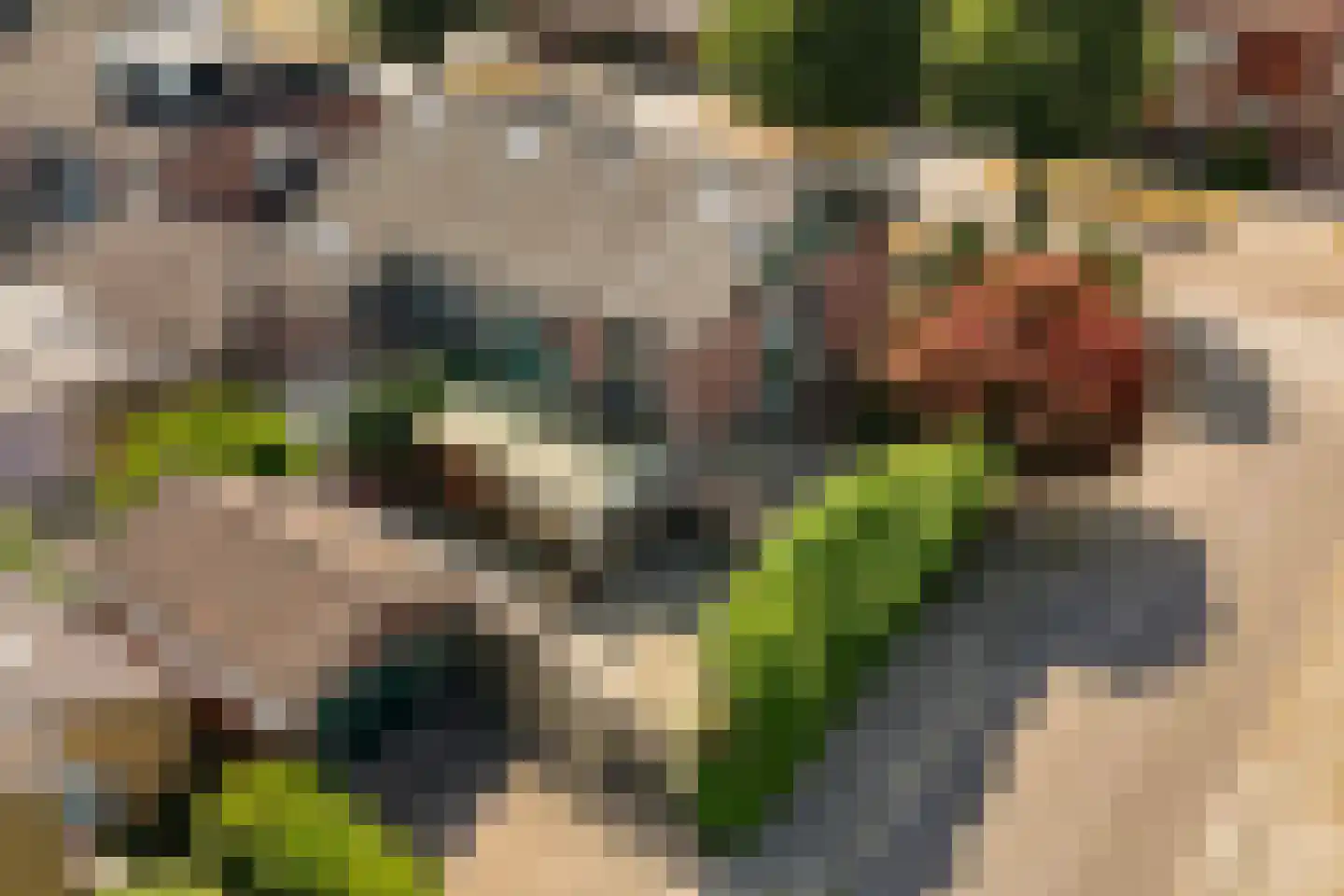 Paalhaarsstraat 21 Eibergen thumbnail 41